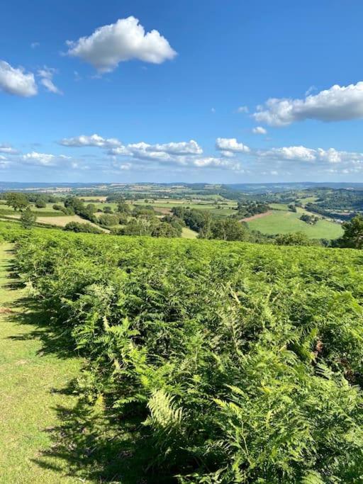The Mill Stylish Rural Apartment With Beautiful Views Welsh Newton Common Extérieur photo