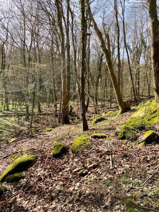 The Mill Stylish Rural Apartment With Beautiful Views Welsh Newton Common Extérieur photo