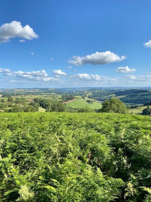 The Mill Stylish Rural Apartment With Beautiful Views Welsh Newton Common Extérieur photo